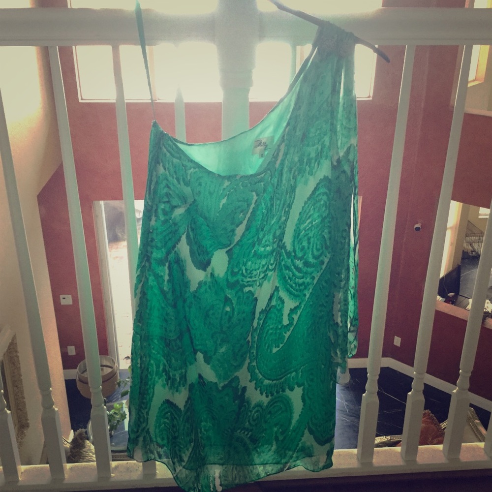 Silk MIlly Dress